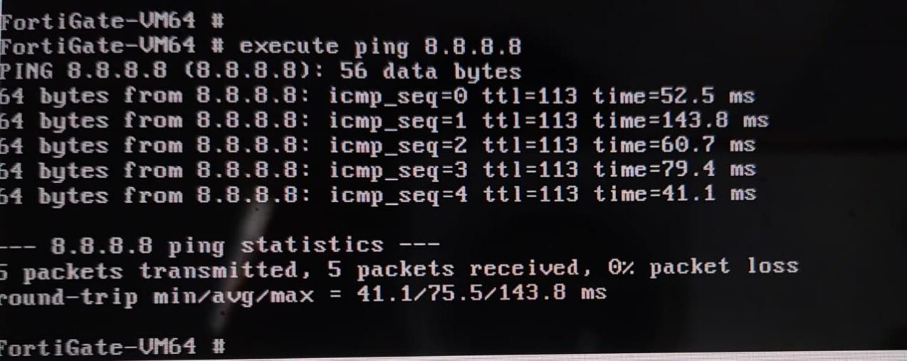 execute ping 8.8.8.8 – 0% packet loss